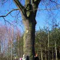 b.640.480.0.0.s.stories.oszkole.GCEE.7